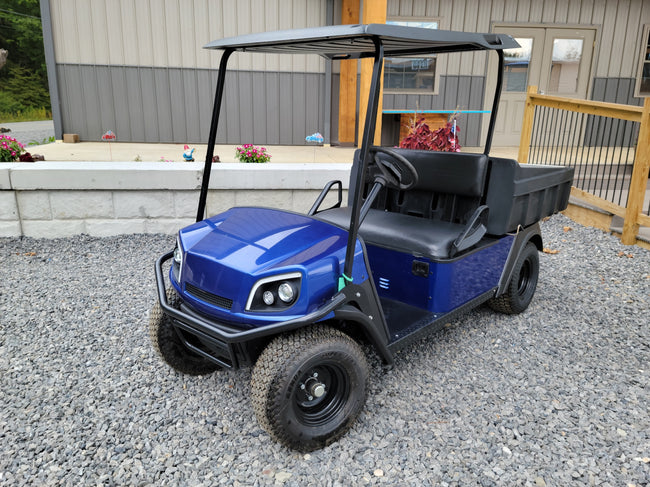 Electric 48v MPT 1000E - Blue *SOLD*