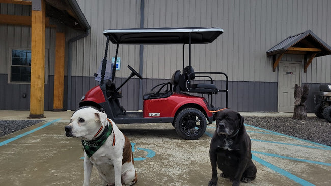 EZGO RXV 48v Custom - Red with Black *SOLD*