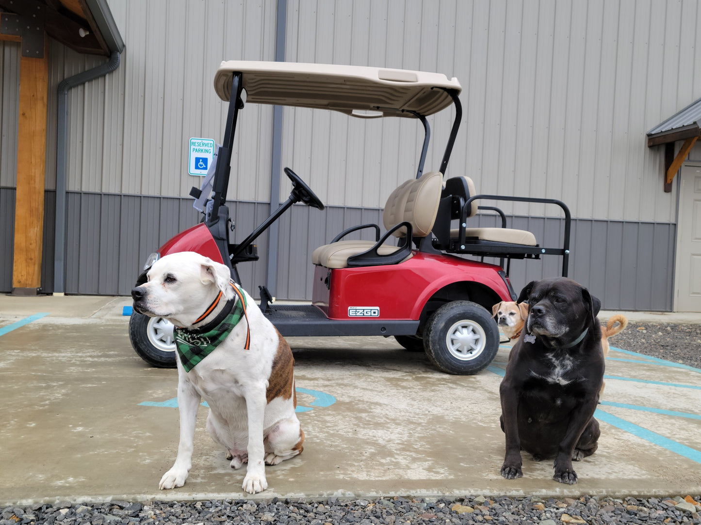2018 EZGO RXV Electric 48v - Inferno Red *SOLD*